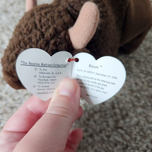 Ty Beanie Baby Bundle - Pouch, Ziggy, Chocolate, Ants and Roam - Picture 11 of 11